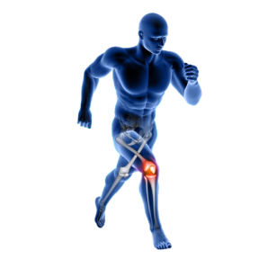 Bone and Joint Package